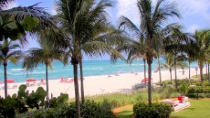 Drástico Escarpa Conciencia Ver Miami y Miami Beach Cámaras web | Gran Miami y Miami Beach
