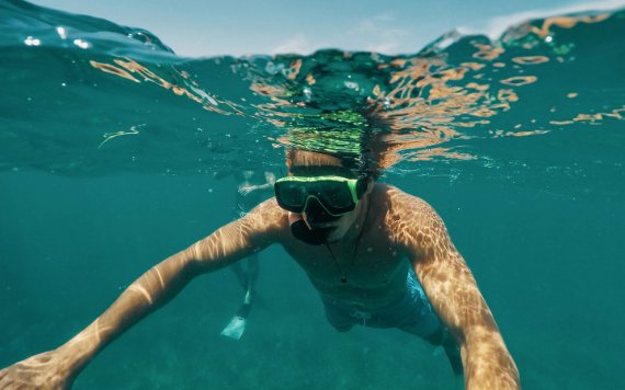 Snorkel en Biscayne National Park